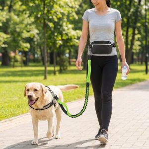 Stop med at trække, bevar kontrollen - håndfri hundesnor / DOGZIP