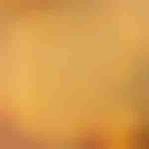 Jule LED-lysgardin - | CURLIGHT
